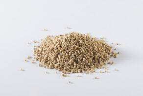 Mucchietto di Quinoa