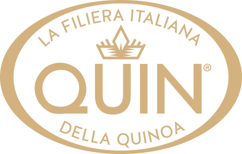 Quin Logo