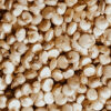 Quinoa