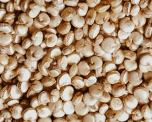 Quinoa