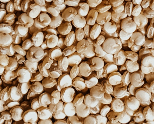Quinoa
