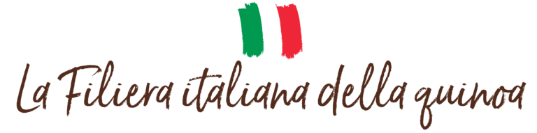 Titolo pagina Quin