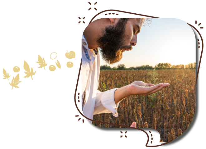 Filiera Quinoa