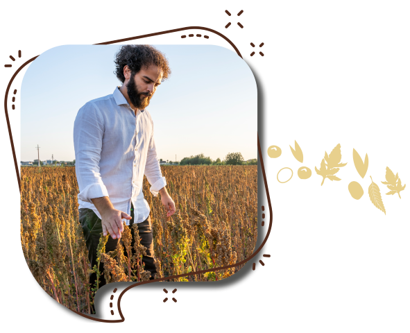 Filiera Quinoa