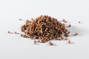 Quinoa soffiata cioccolato