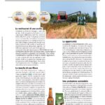 Millionaire Coltivare la Quinoa