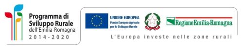 Regione-Emilia-Romagna-Banner-1024x215
